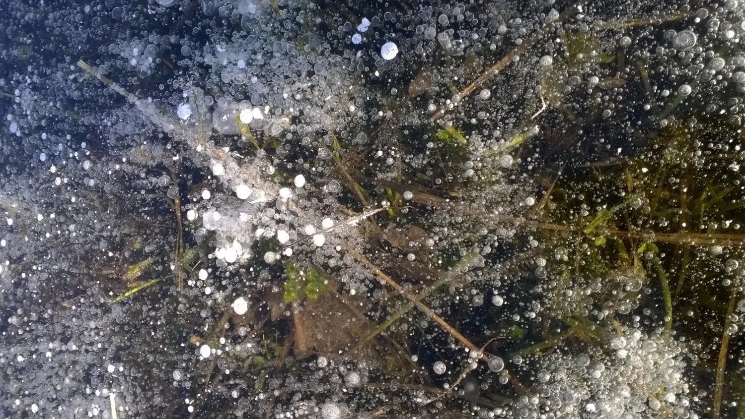 Ein Blick in die Tiefe fasziniert: An dieser Stelle waren kleine Luftbläschen im Eis eingeschlossen. Ein Ausflug in den Spreewald, wenn die Fließe zugefroren sind, lohnt auf vielen Ebenen.