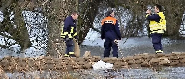 Heimatfluss Schwarze Elster. Der Strom kann gefährlich werden, so wie im Januar 2011. Hier am Damm zwischen Wahrenbrück und Bad Liebenwerda.