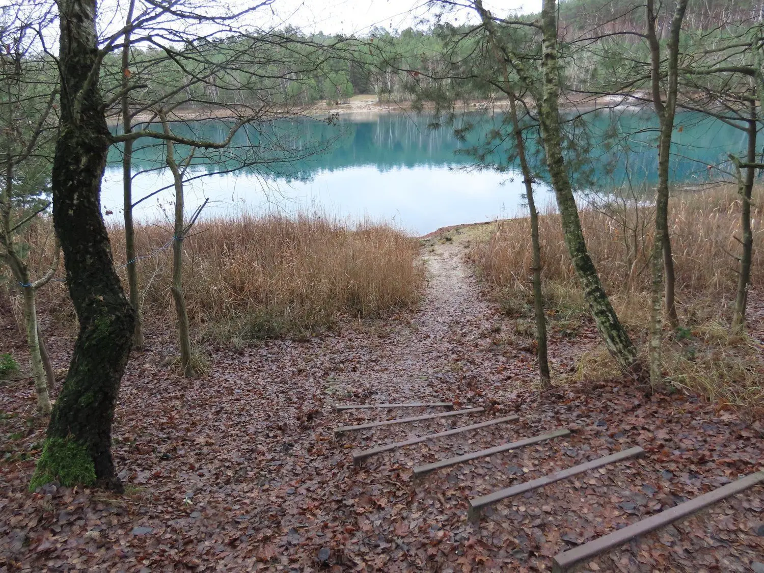 Eine der Treppen und Wege von der Bungalowsiedlung zum See, sie sind nach zwei Jahren Sperrung wieder begehbar.