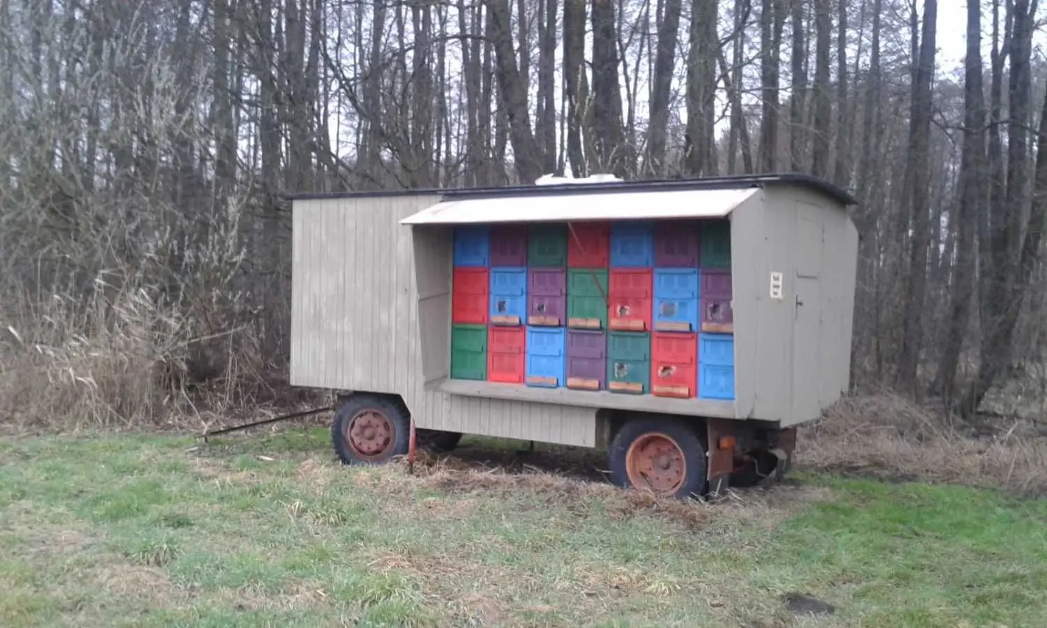 Der Bienenwagen steht abgelegen in der Nähe von Prensdorf. Acht Beuten wurden zerstört. Leere Behausungen blieben ganz.