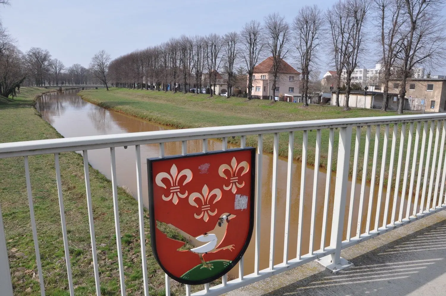 Die geplanten Hochwasserschutzmaßnahmen an der Schwarzen Elster in Elsterwerda werden sich weiter verzögern.