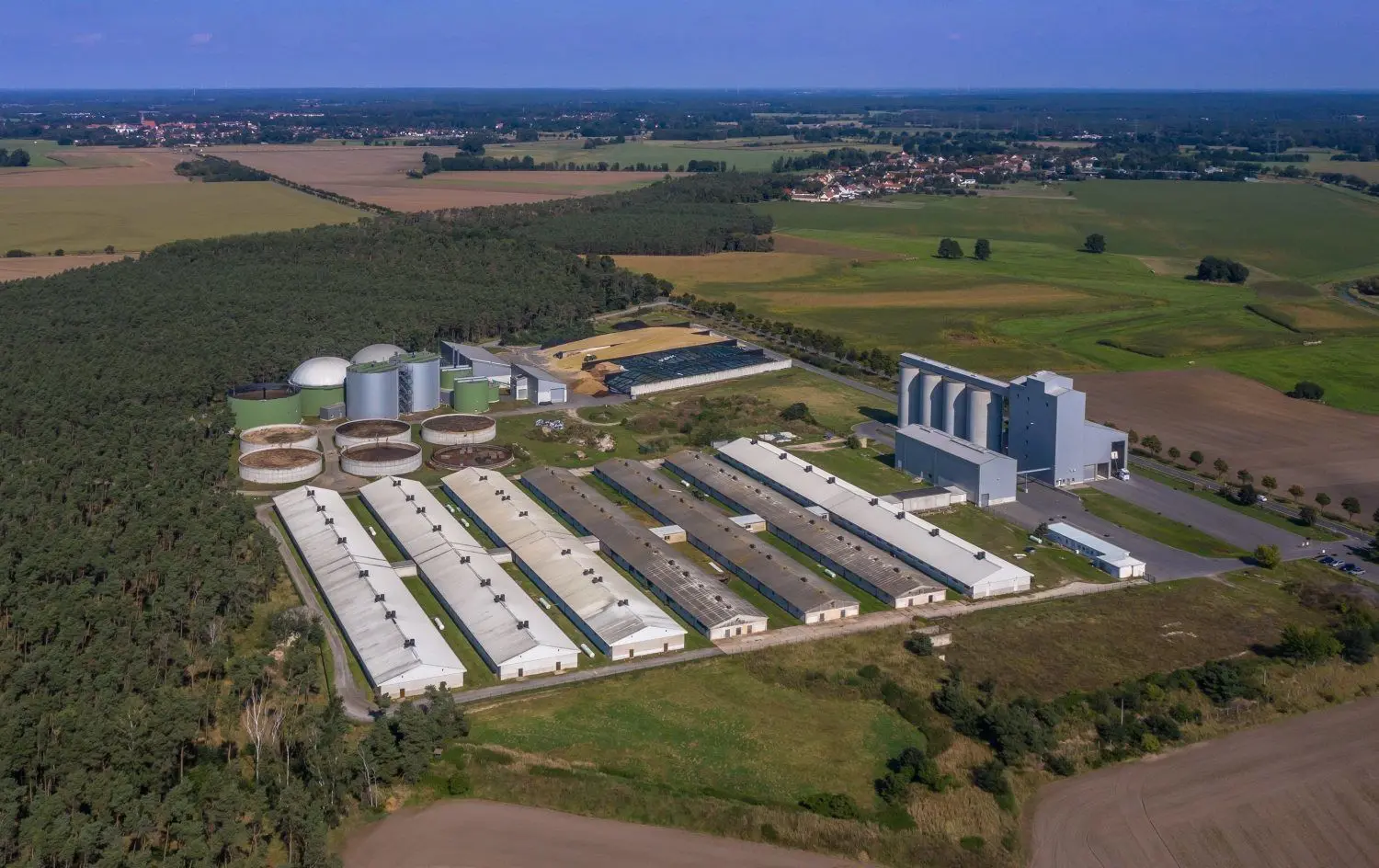 Das Betriebsgelände der Osterhuber Schweinemast GmbH Oschätzchen mit angeschlossener Biogasanlage. Im Hintergrund links die Stadt Bad Liebenwerda, rechts der Ort Zobersdorf.