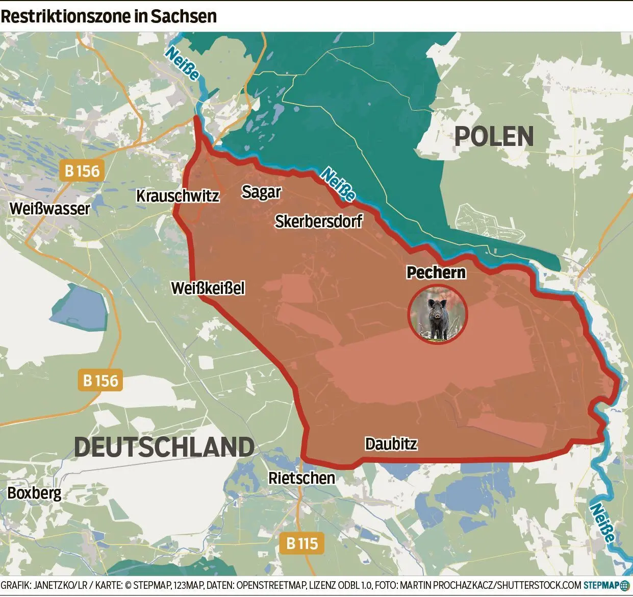 Restriktionszone, die wegen der Schweinepest ausgewiesen wurde, ist 13 500 Hektar groß.