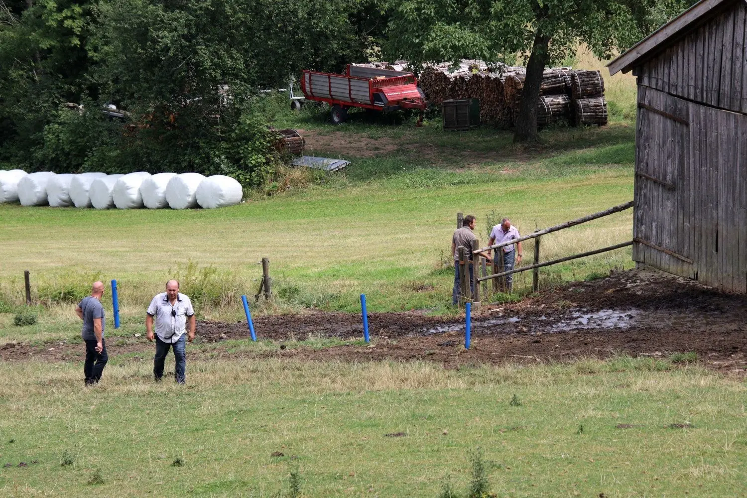 Polizisten in Zivil stehen auf einer Weide, auf der zuvor ein Stier zwei Menschen getötet hatte. Polizisten mussten dann auch das Tier töten, weil die Rettungskräfte nicht zu den beiden Männern auf die Weide kamen.