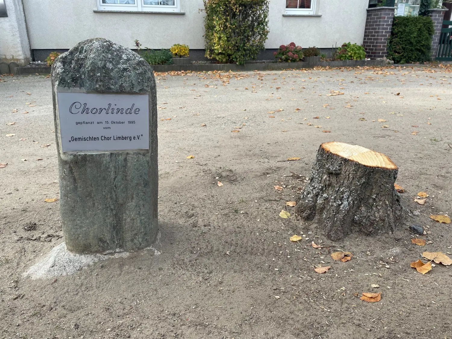 Nur noch ein Stumpf ragt neben dem Stein aus der Erde. Hier stand in Limberg vor wenigen Tagen noch eine Linde.