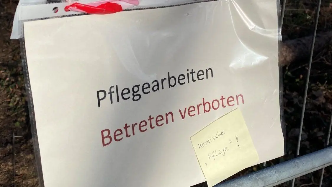 Waldumbau In der Branitzer Siedlung: Der Wald auf dem Böcklinplatz ist von Pilzen und Insekten befallen. Auf dem kleinen Waldstück werden alle Kiefern gefällt. Der Spielplatz ist derzeit gesperrt. Anwohner sind über die Arbeiten verwundert und verärgert.