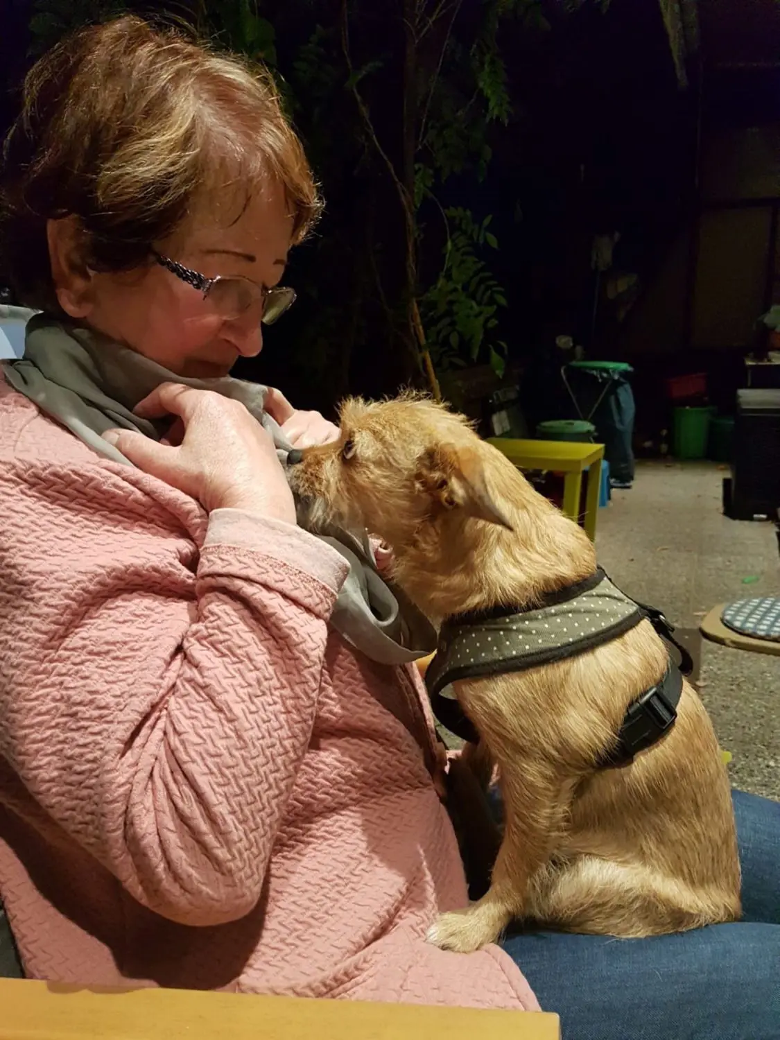 Heiderose Treydte hat in Daisy einen neuen Hund gefunden – und Daisy kann mit ihrem neuen Frauchen endgültig die schlimmste Zeit ihres Lebens in Rumänien hinter sich lassen.