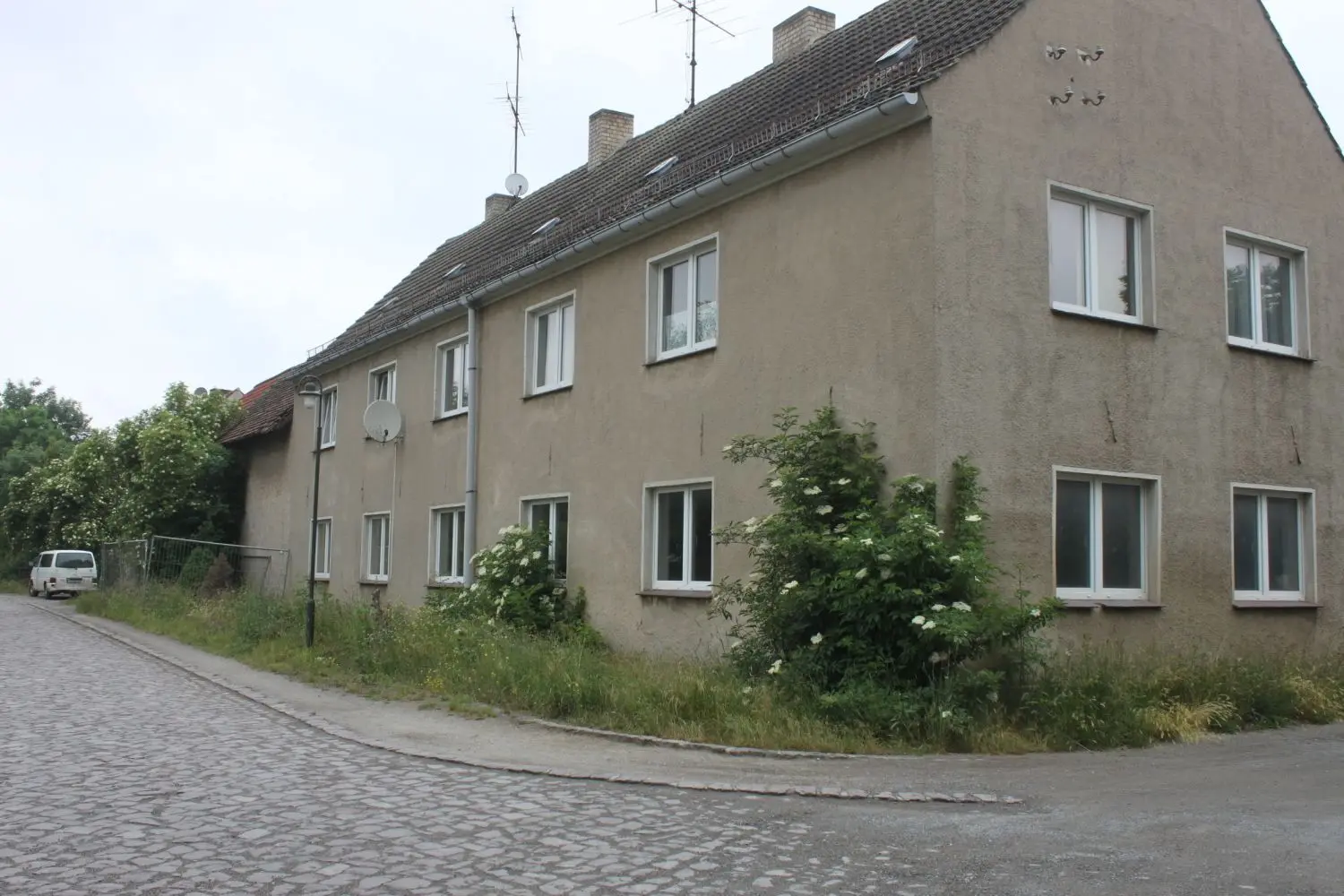 Auf diesem Grundstück in Grochwitz wurden die mehr als 80 Hunde gehalten.