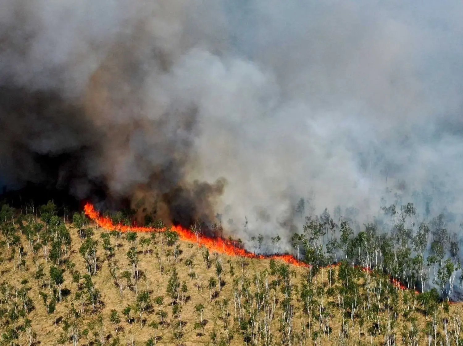 Der Großbrand bei Plessa hat sich am Freitagnachmittag auf eine Fläche von etwa 30 Hektar ausgedehnt.