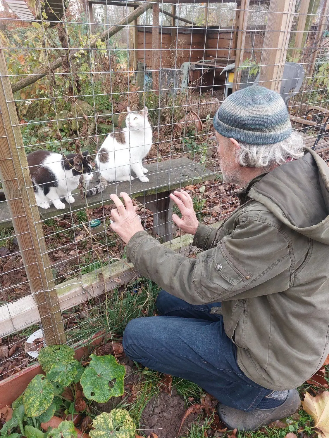 Allein in diesem Jahr hat Haupt rund 40 Katzen aufgepäppelt und vermittelt. Im eigenen Bestand hat der Laasower neun aus dem Tierschutz adoptierte Katzen.