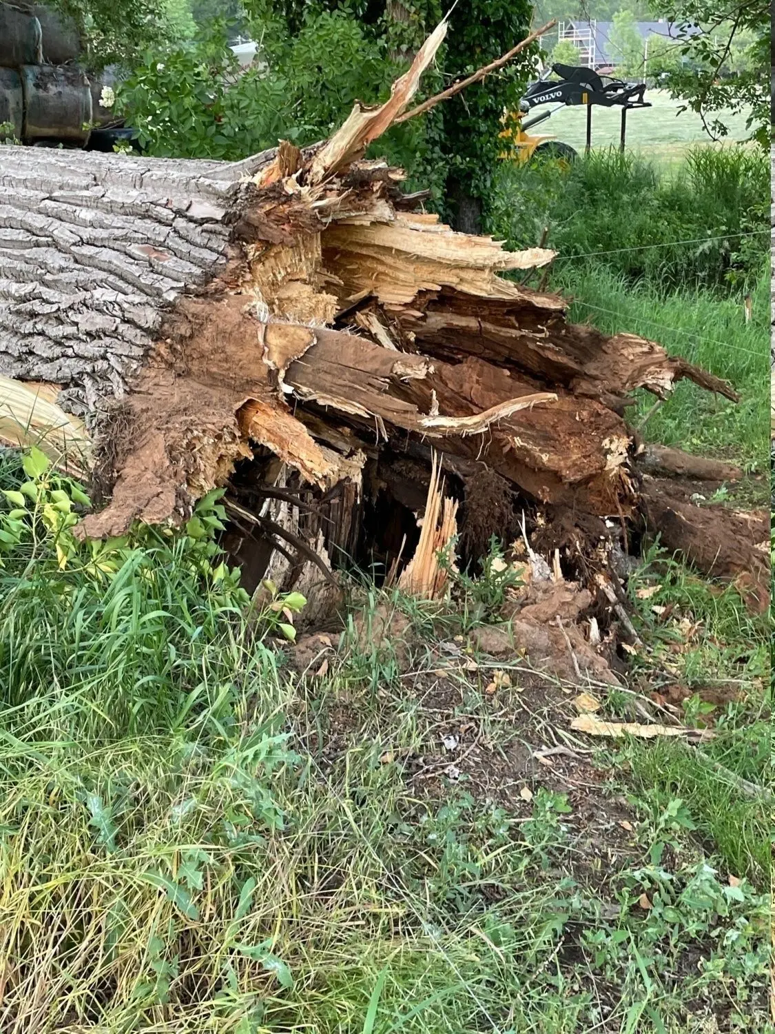 Der gefährliche Pappelfall von Burg ist unerwartet über die Spreewälder hereingebrochen und hat eine Brücke über das Spreefließ zerstört. Eine Ferienanlage und Wohnhäuser sind vom Dorf abgeschnitten worden.