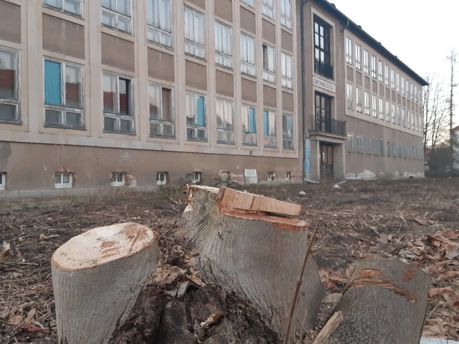 Auf dem Gelände der einstigen Wilhelm-Pieck-Schule wird seit Januar Baufreiheit geschaffen. Hier soll das neue Pflegefachzentrum der Gubener Sozialwerke entstehen.