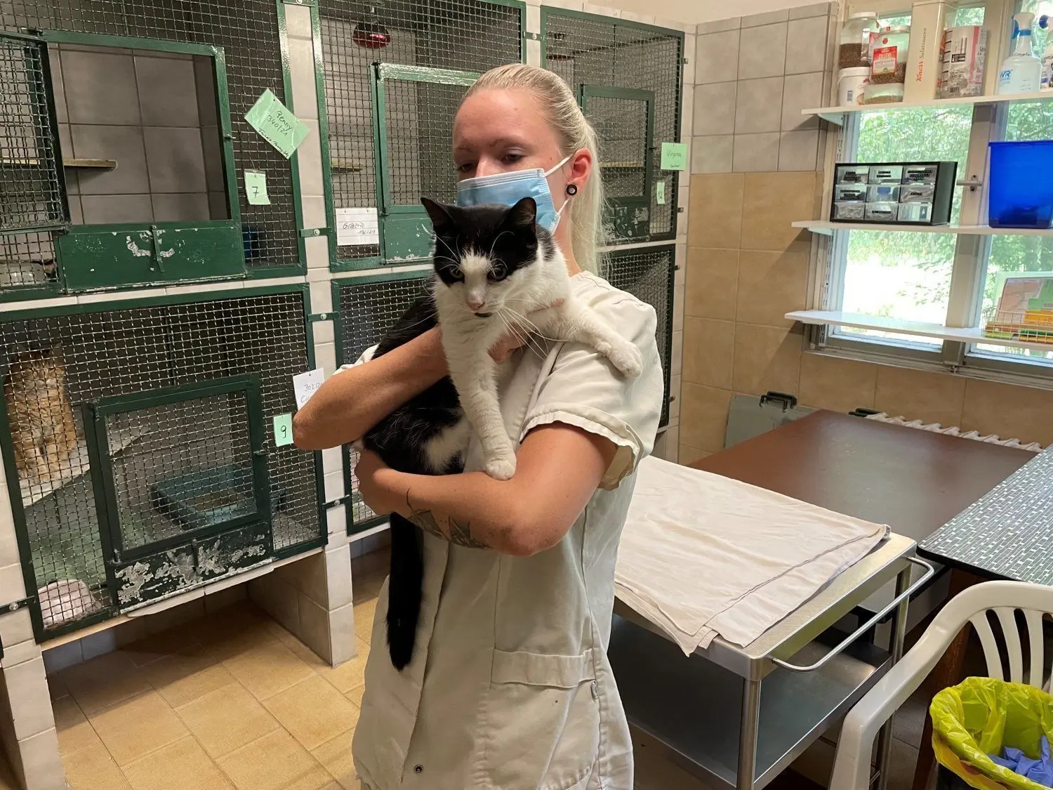 Ein Mann setzte diese Katze einfach auf einem Supermarkt-Parkplatz in Spremberg aus. Tierpflegerin Sabrina Jankowski kümmert sich auf der Quarantänestation in Groß Döbbern um den Vierbeiner.
