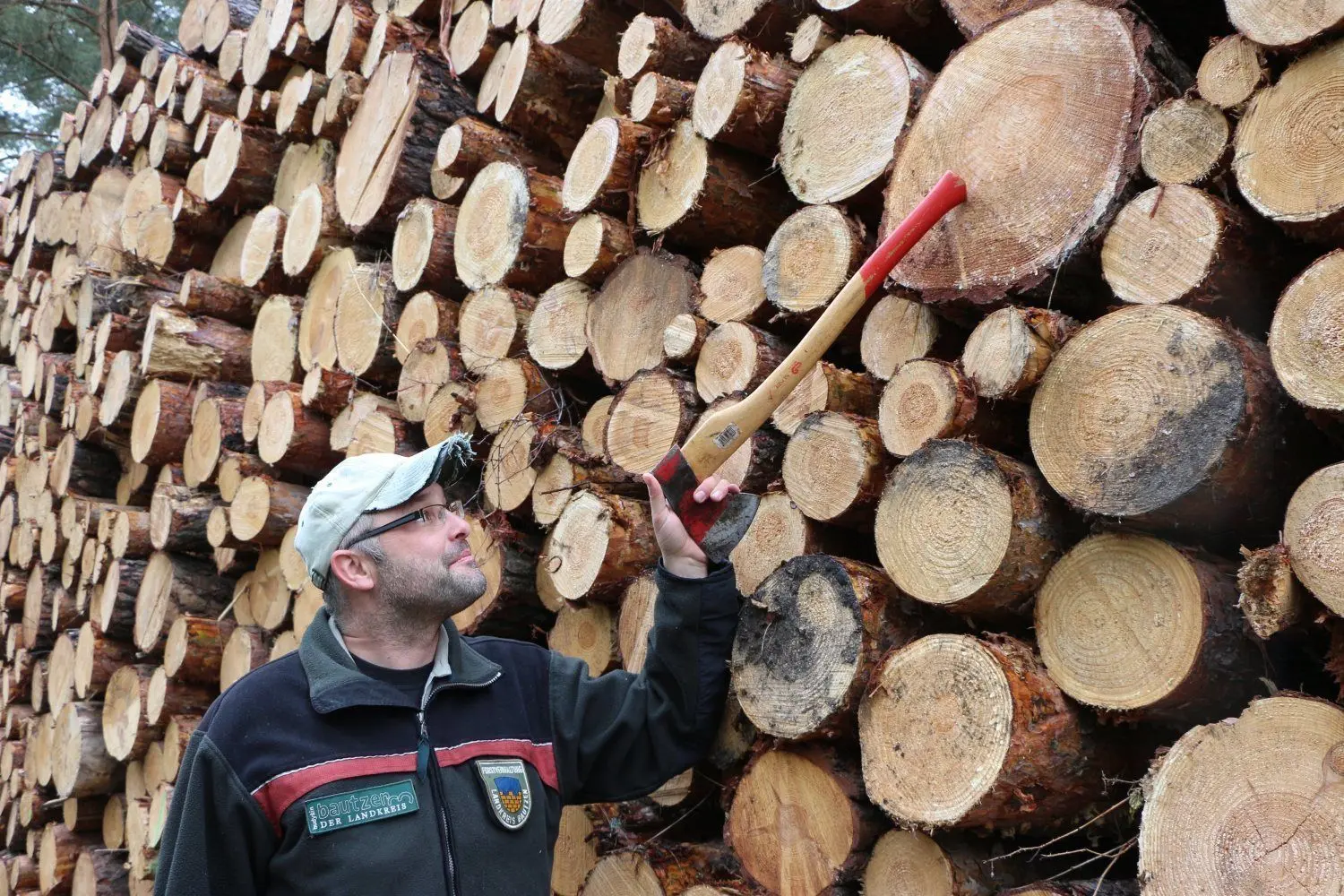 Für die Papierindustrie eigentlich viel zu schade: Rolf Schlichting (40), Revierleiter der unteren Forstbehörde im Landkreis Bautzen, zeigt das gute Bauholz, das jetzt ins Zellstoffwerk nach Stendal geht.