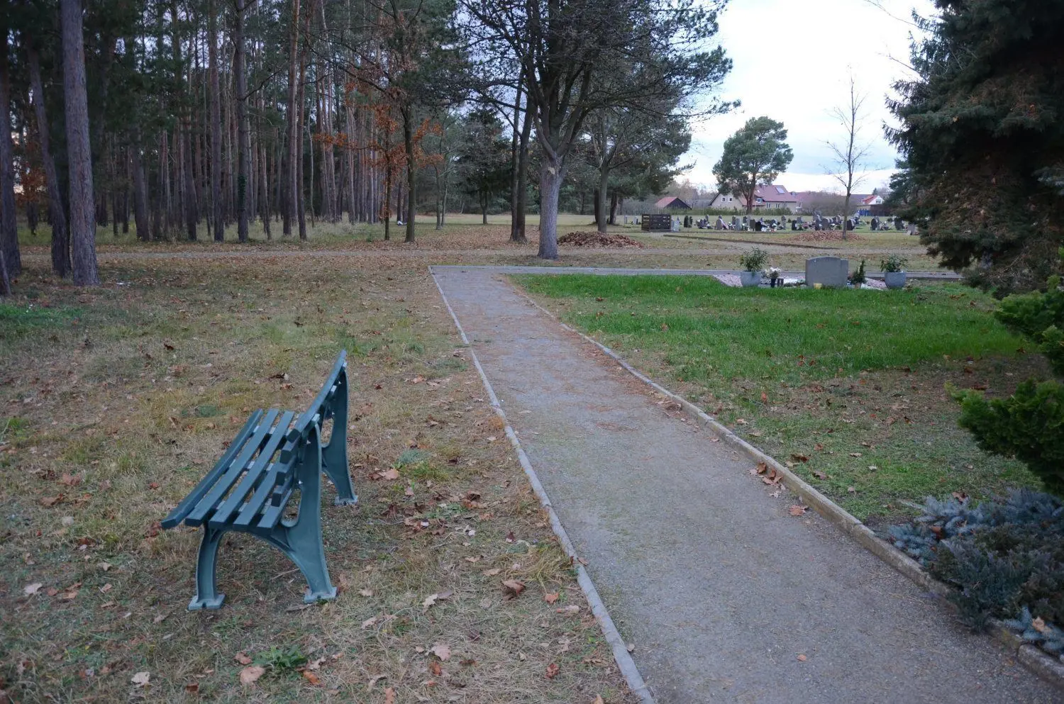 Lübbenauer Hauptfriedhof in Zerkwitz. Im hinteren Bereich werden große Flächen nicht genutzt.