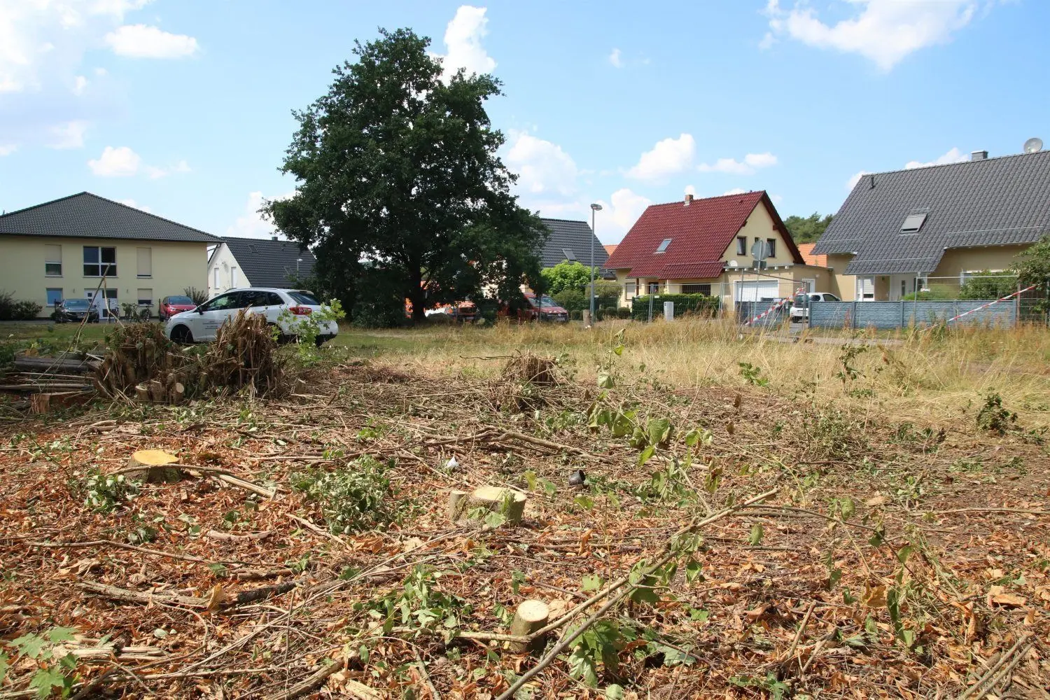 Auf dem Grundstück an der Heinrich-Heine-Straße in Lübben sind Mitte August 2020 Sträucher und Bäume gefällt worden.