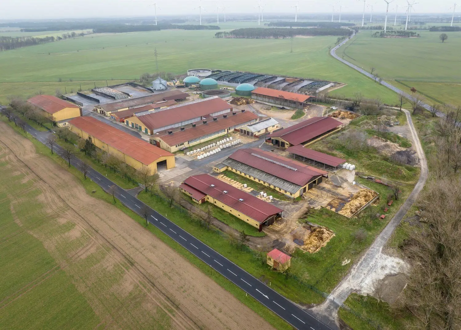 Ein Blick auf die Milchviehanlage der Röderland GmbH in Bönitz. Im Hintergrund die Biogasanlage und die vorbeiführende B183.