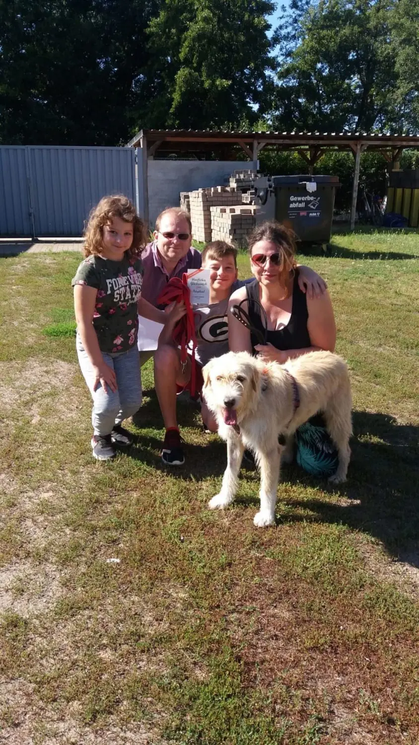 Familie Sommerfeld hat im August die rumänische Hündin Grace im Tierheim Cottbus adoptiert. Die Hündin lernt laut Tierheim nun zum ersten Mal in ihrem Leben, ein geliebtes Familienmitglied zu sein. Doch momentan können keine weiteren Hunde aus Rumänien nach Cottbus geholt werden, weil die Sondergenehmigung fehlt.
