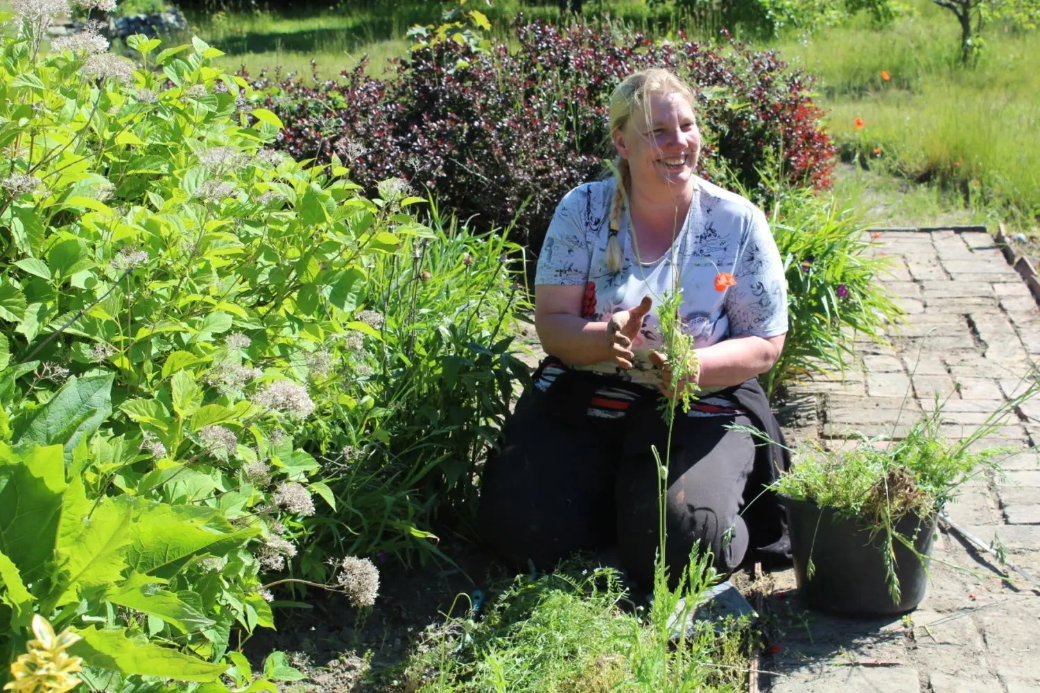 Um den Umwelt- und Lehrgarten Döbern zu erhalten, ist vor allem Unkrautzupfen angesagt.