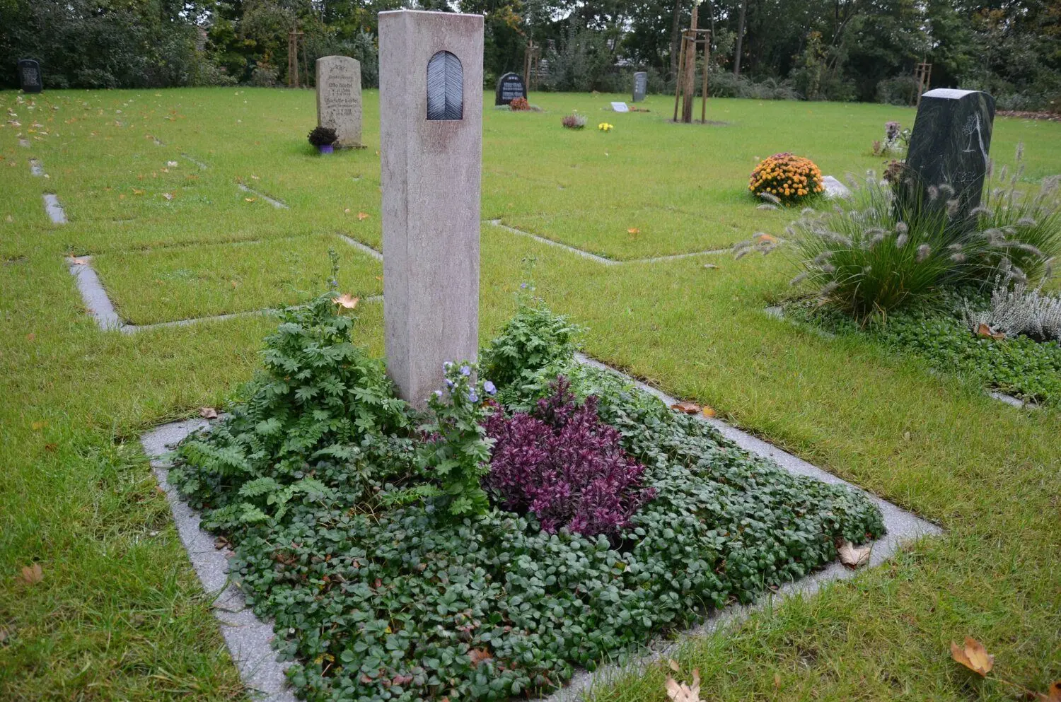 Mustergräber mit ebenerdiger Einfassung auf dem Lübbenauer Hauptfriedhof im Ortsteil Zerkwitz. In der Mitte des Grabfeldes wurde ein Baum gepflanzt.