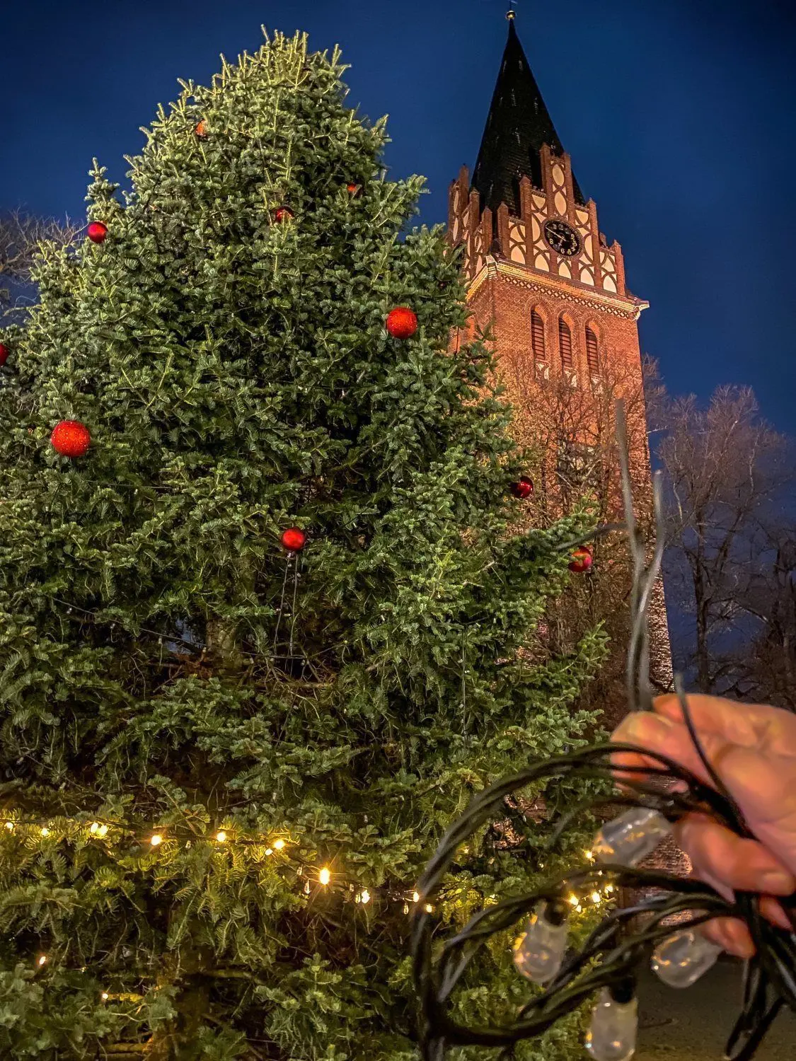 Am Weihnachtsbaum auf dem Marktplatz in Bad Liebenwerda wurde die Lichterkette zerschnitten. Für das Foto wird hier das Stück Lichterkette gezeigt.