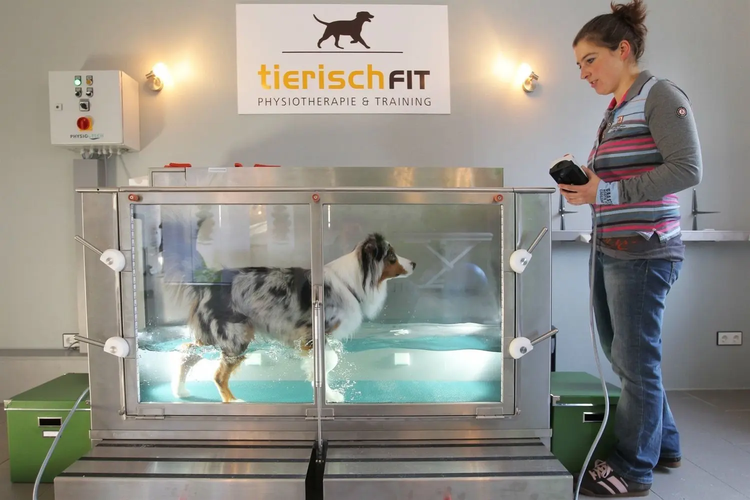 Mit dem Preisgeld möchte Stephanie Badura einmal ein Unterwasserlaufband für Hunde finanzieren. Es wird zu Therapiezwecken unter anderem für den Muskelaufbau eingesetzt. Hunde, die etwa an Gelenkbeschwerden leiden, sollen sich darauf grundsätzlich schmerzfrei bewegen können. (Archivbild)