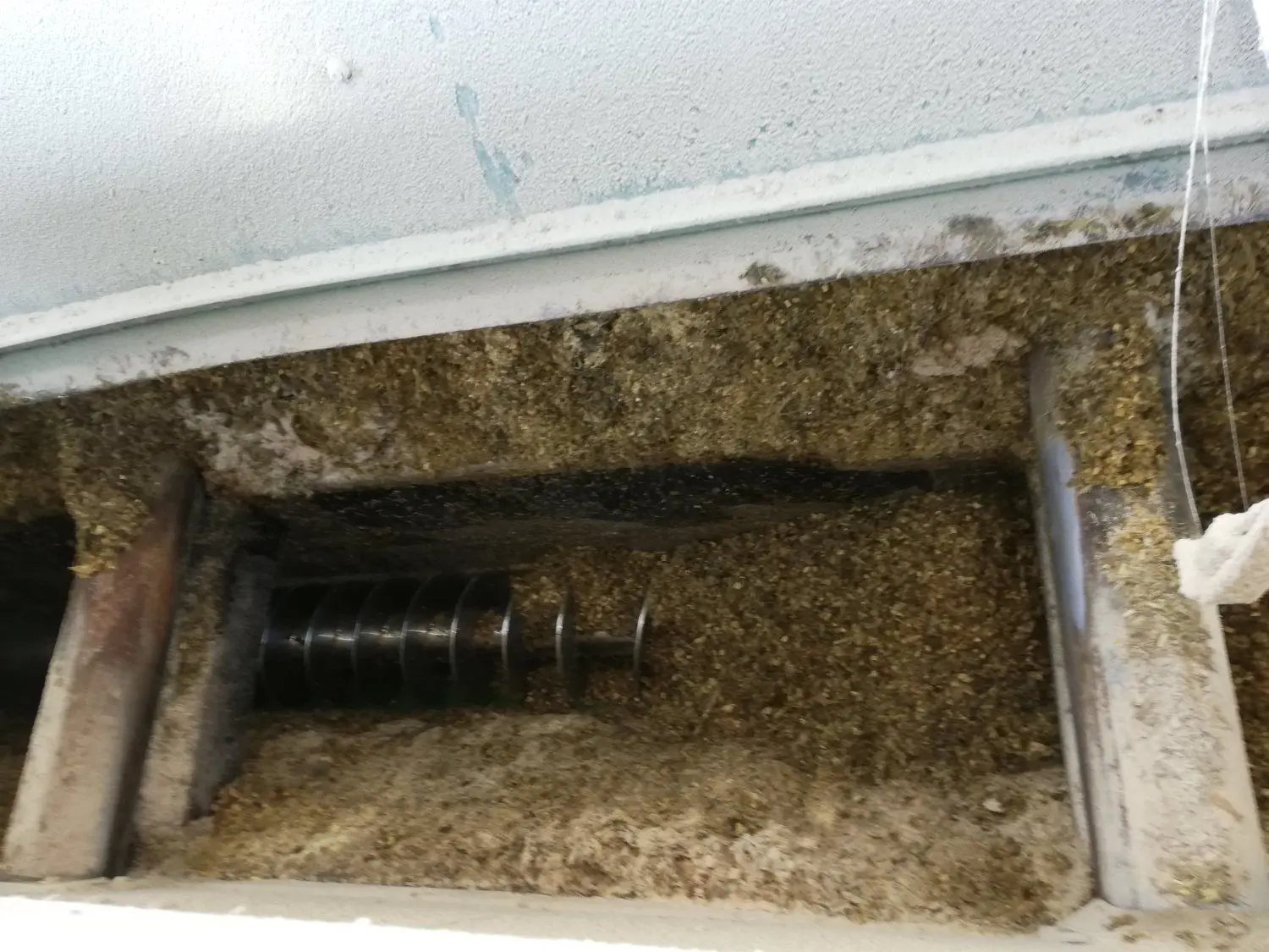 Diese Silage wird im festen Rhythmus aus dem Feststoffbeschicker automatisch in den Fermenter transportiert. Förderschnecken stopfen das Material in die containerartige Anlage, in der es unter ständigem Rühren vergoren wird. Das dabei entstehende Biomethangas wird gesammelt und ins Blockheizkraftwerk abgeleitet zur Stromerzeugung. , wo es unter ständigem Rühren vergoren wird. Das dabei entstehende Biomethangas wird gesammelt und ins Blockheizkraftwerk abgeleitet zur Stromerzeugung.