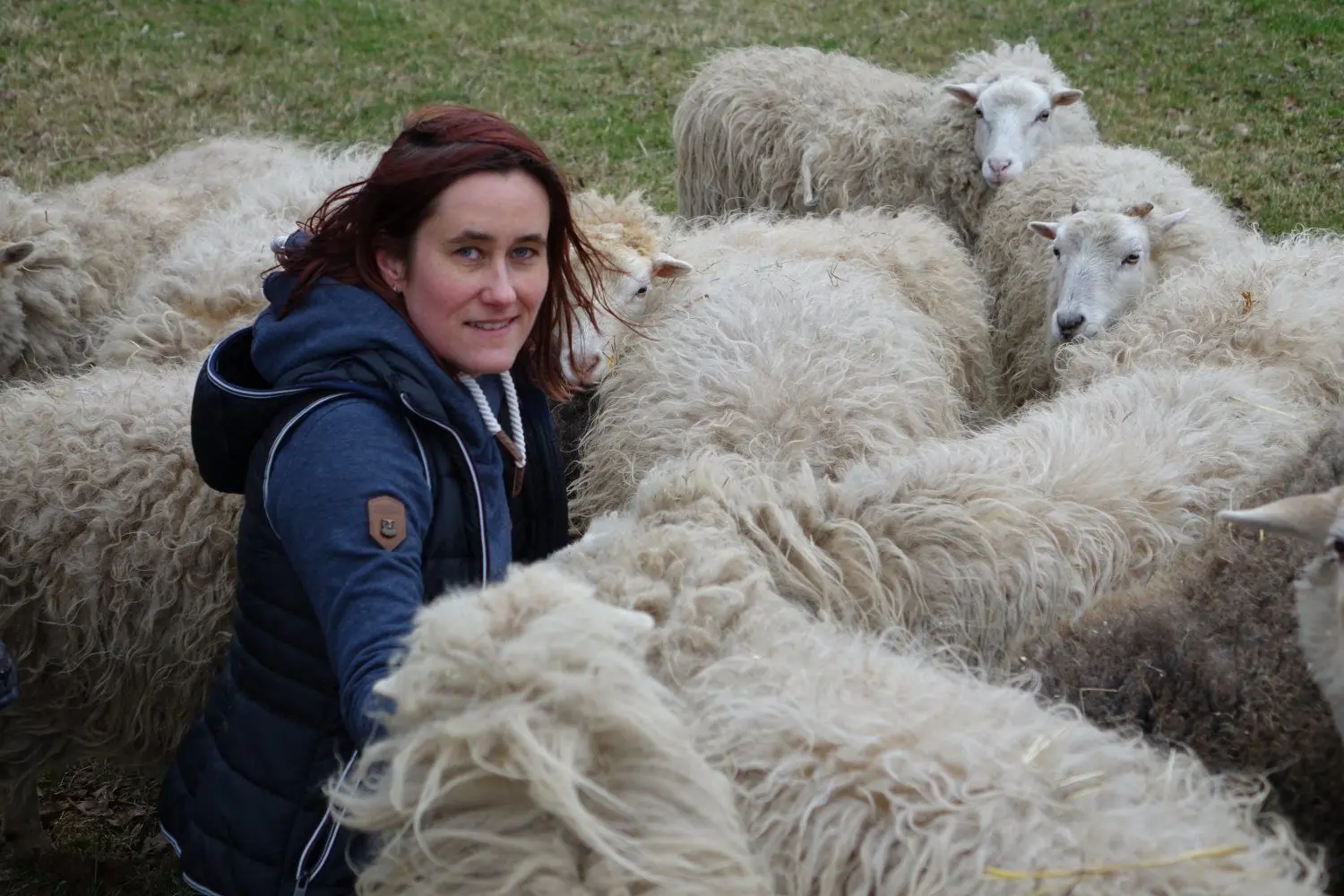 Yvonne von Deparade aus Maust hält 17 Skudden-Schafe. Nach den Wolfsangriffen in Peitz und an der Kutzeburger Mühle hat sie Angst um ihre Tiere.