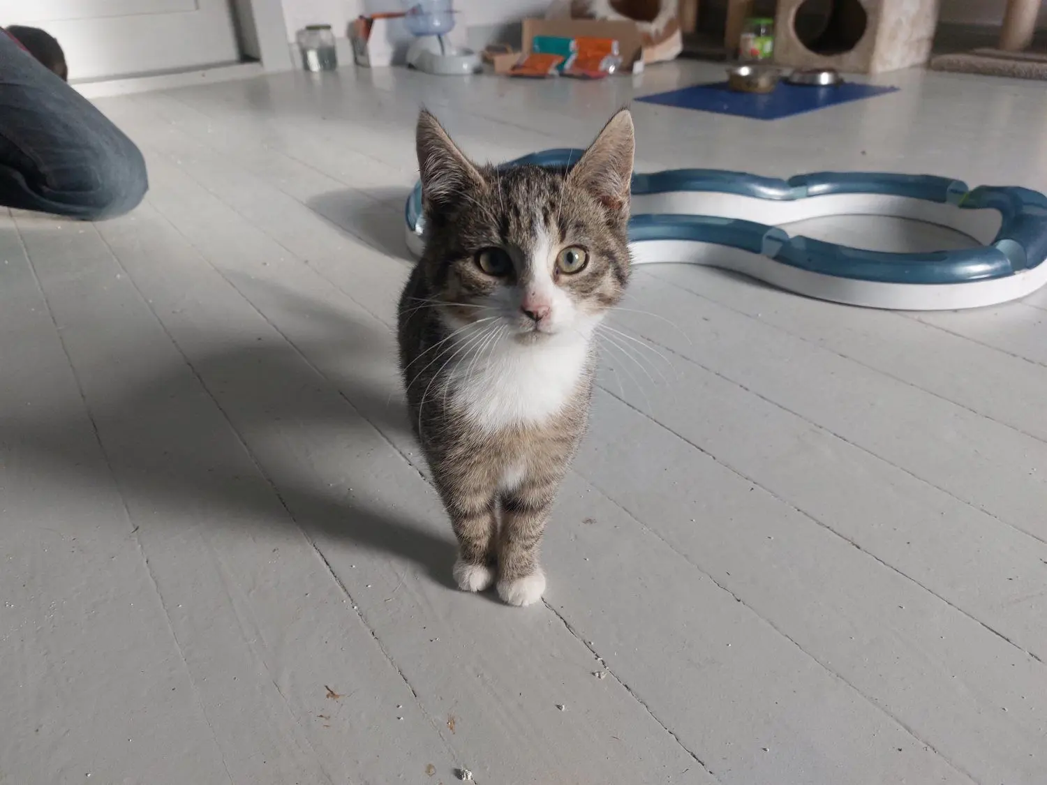 Wer kann diesem Blick widerstehen?
