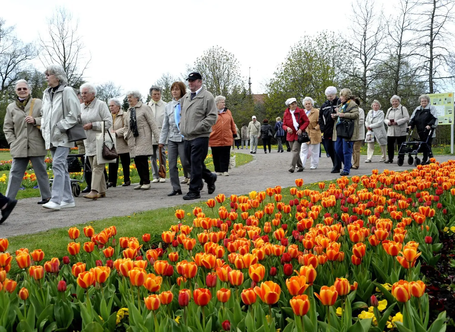 Hauptaugenmerk wird wie in jedem Jahr die farbenprächtige Tulpenblüte sein.