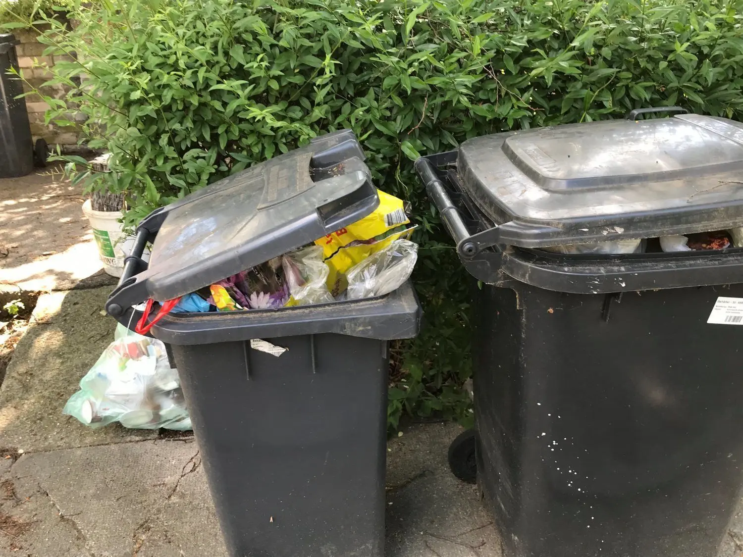 Entsorgungsproblem in der Schacksdorfer Straße 26 bis 34a: Die Mülltonnen quellen über, weil sie seit Wochen nicht geleert wurden.