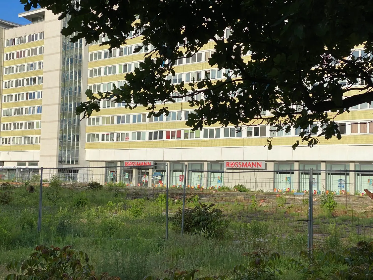 Die Abrissfläche am Blechen Carré an der Cottbuser Stadtpromenade ist ein Filetgrundstück in bester Innenstadtlage. Die Nutzung ist umstritten.