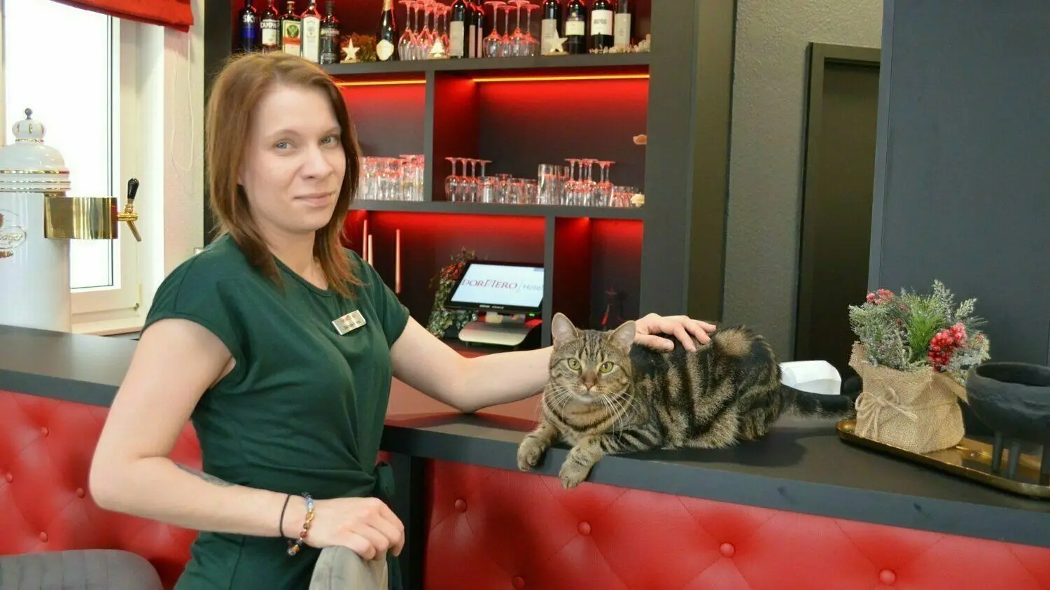 Sie ist der stille Star des Dormero-Hotels in Hoyerswerda: Katze Juli. Oftmals weicht sie Hotelmanagerin Sandra Heinze nicht von der Seite.