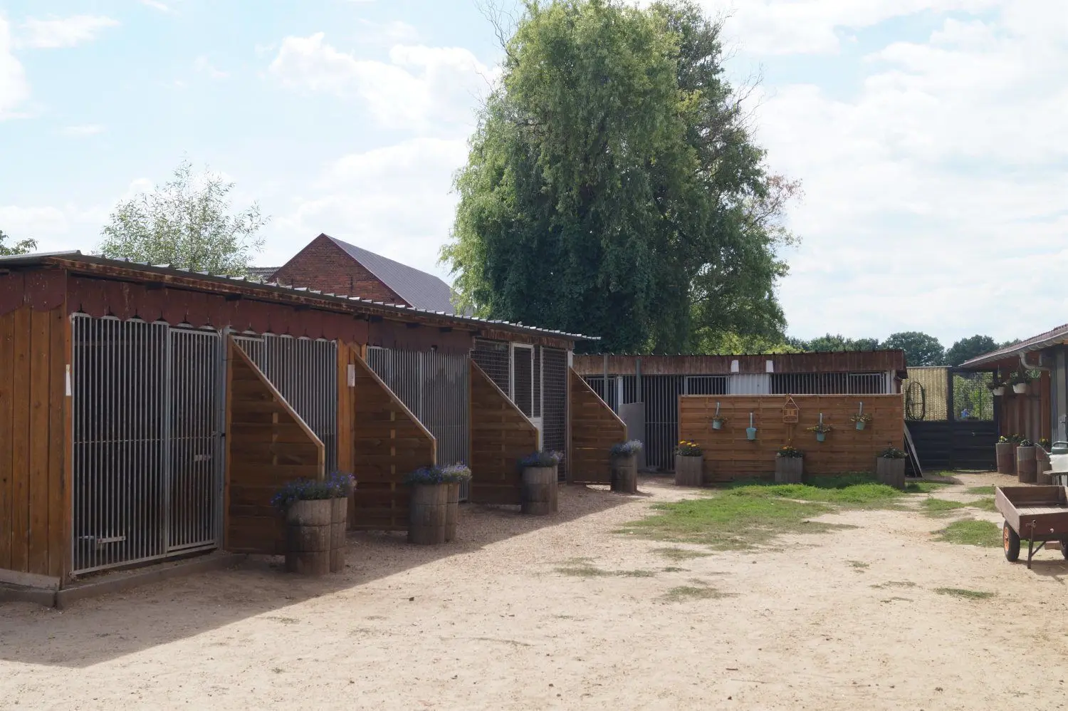 In den vergangenen Monaten ist einiges passiert. Der Träger des Tierheims ist nun der Tierschutzverein. In diesem Zuge wurden Zwinger vergrößert und neue Trennwände errichtet.