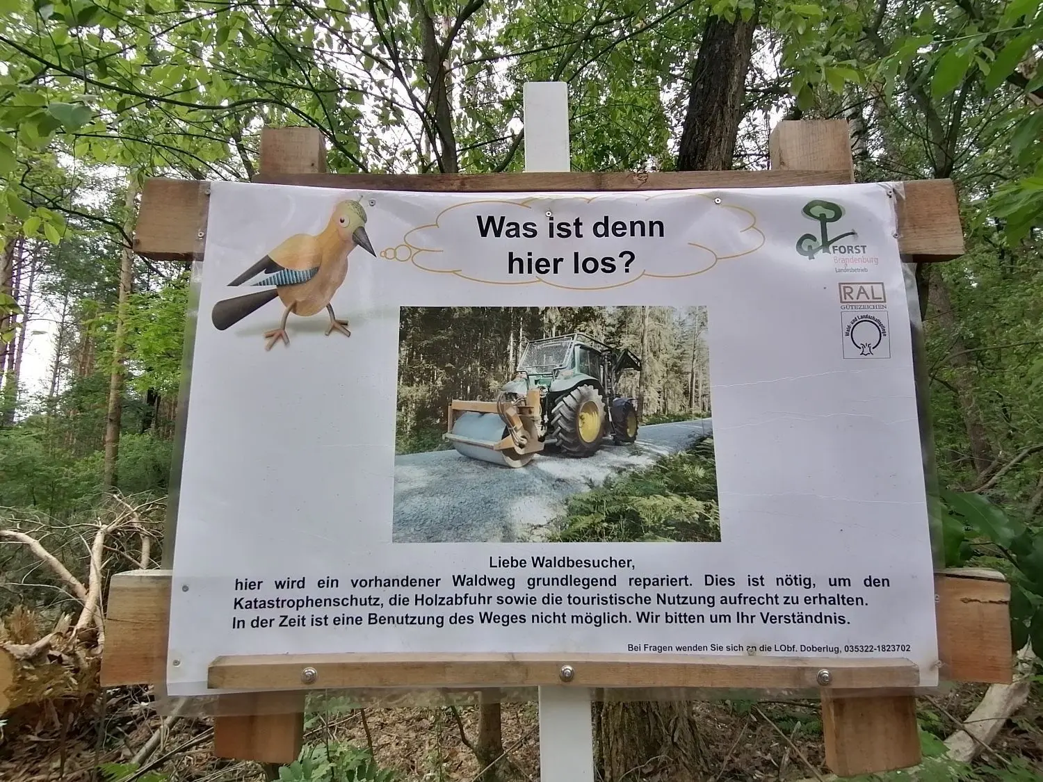Vorbildlich: Im Naturschutzgebiet „Der Loben“ erklärt der Landesbetrieb Forst, warum Waldwege ausgebaut werden müssen.