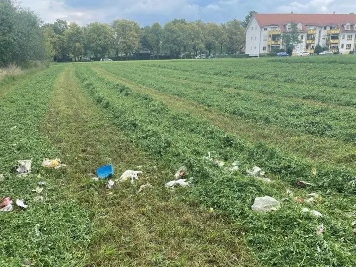Ärgernis in Forst: Nachdem die Müllsäcke zerhäckselt wurden, muss der Plastik-Müll von den Arbeitern händisch eingesammelt werden. Im Hintergrund ist der einzeln stehende Wohnblock in der Wehrinselstraße zu erkennen. Immer wieder muss sich die Agrargenossenschaft mit illegalem Unrat herumärgern, der auf den Feldern abgeladen wird.