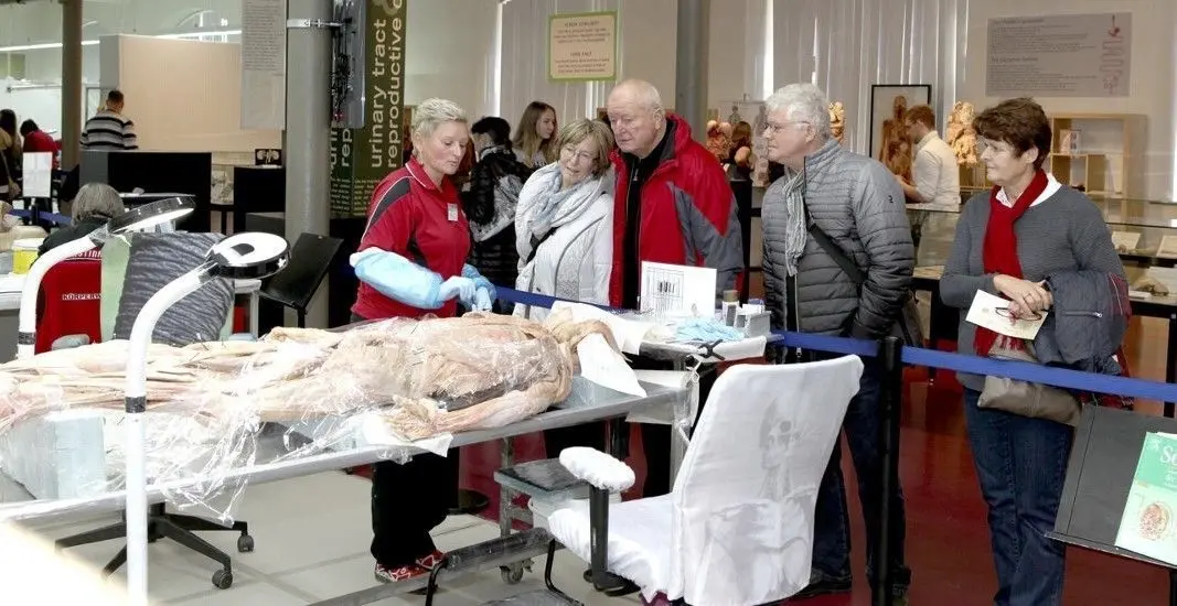 Szene von einem Besuchertag im Plastinarium in Guben.