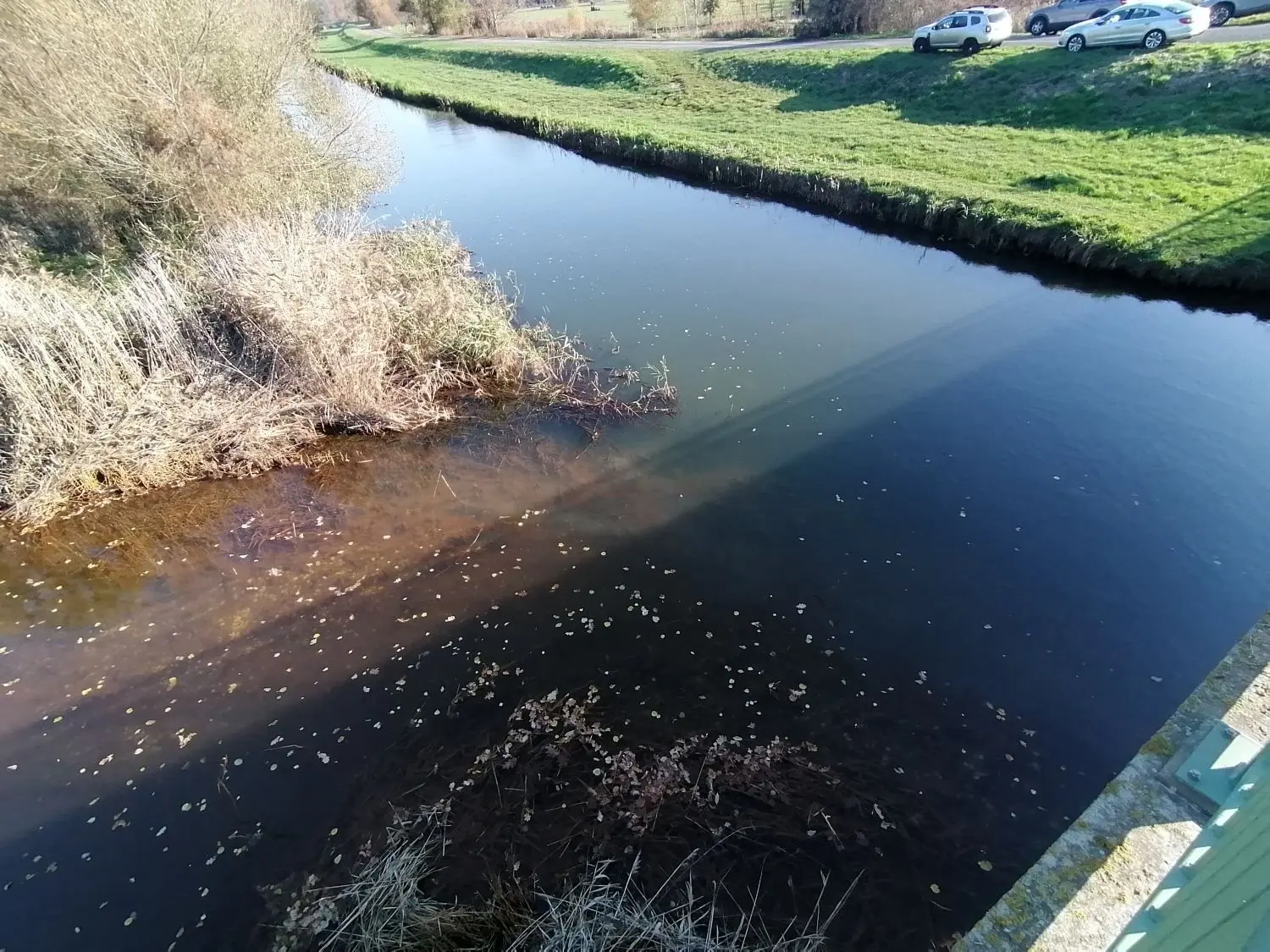 Seitdem die LMBV fast am Ende der Kleinen Restlochkette das saure Wasser bekalkt, ist die Qualität des bei Plessa in die Schwarze Elster eingeleiteten Grabenwassers deutlich besser geworden. Die Ablagerungen im Grabenbett rufen hier optisch die Braunfärbung hervor.