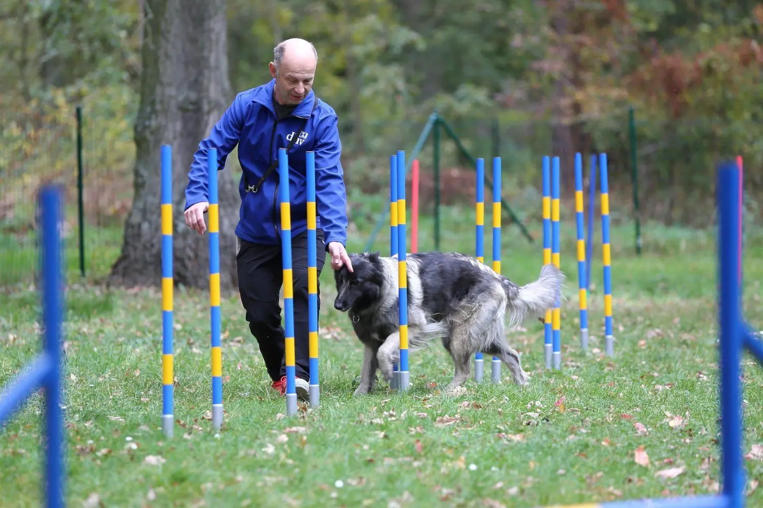 Maik Mosler beim Training mit Cara.