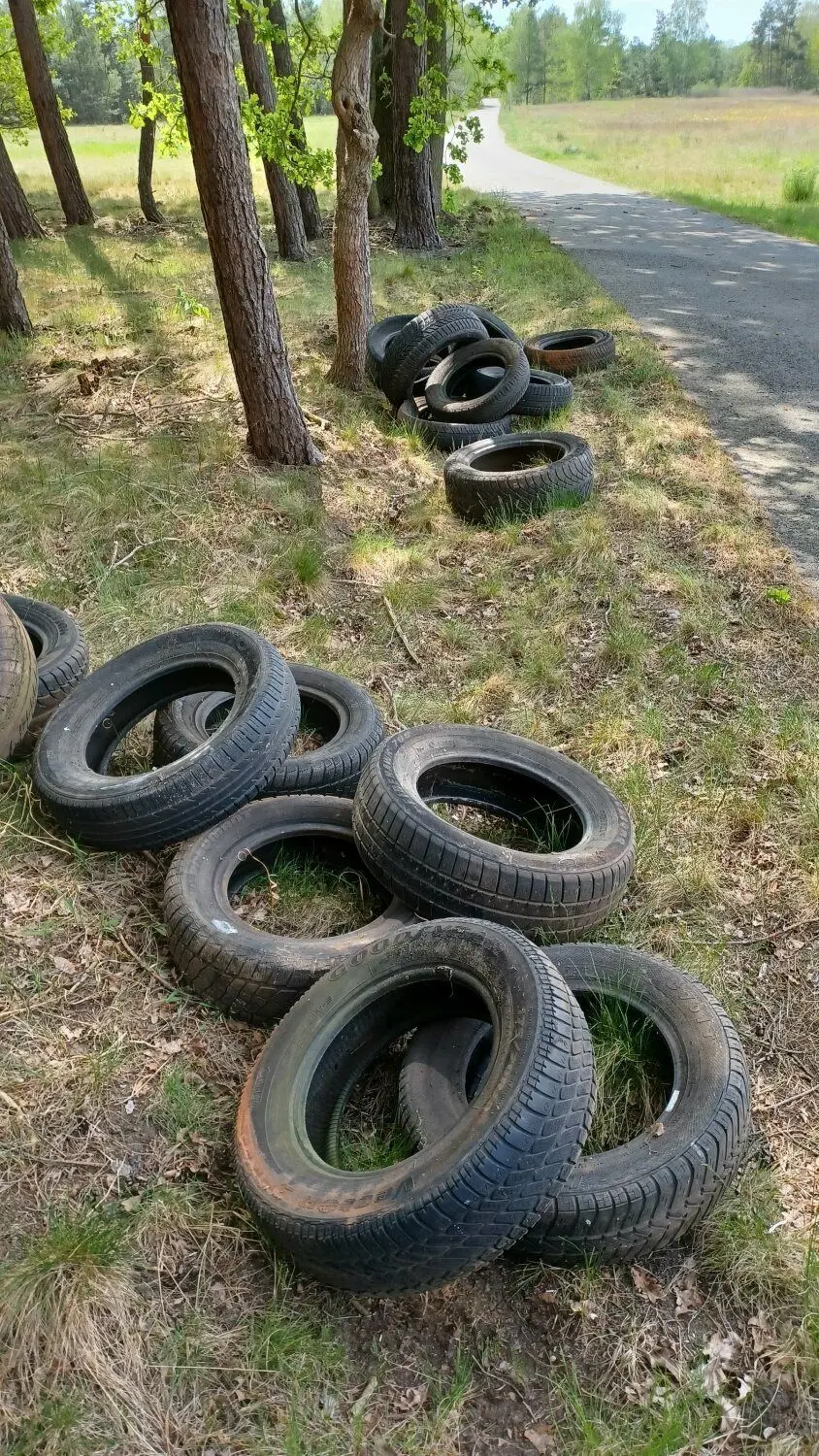 Vor allem Reifen sind unlängst in Größenordnungen an den Fuß- und Radwegen und den Waldgebieten bei Koßwig abgeladen worden.
