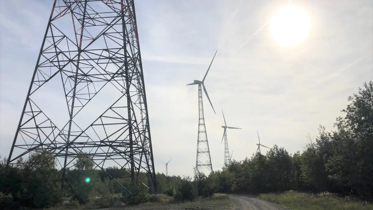 Der Windpark im Spremberger Stadtwald besteht aktuell aus 17 Anlagen. Gebaut werden sollen bis zu 13 weitere Windräder.