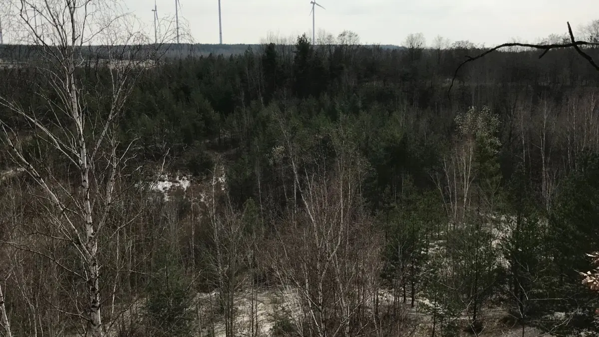 Etwa in diesem alten Tagebau-Bereich südöstlich von Kostebrau könnte die Eisenschlamm-Deponie gebaut werden.