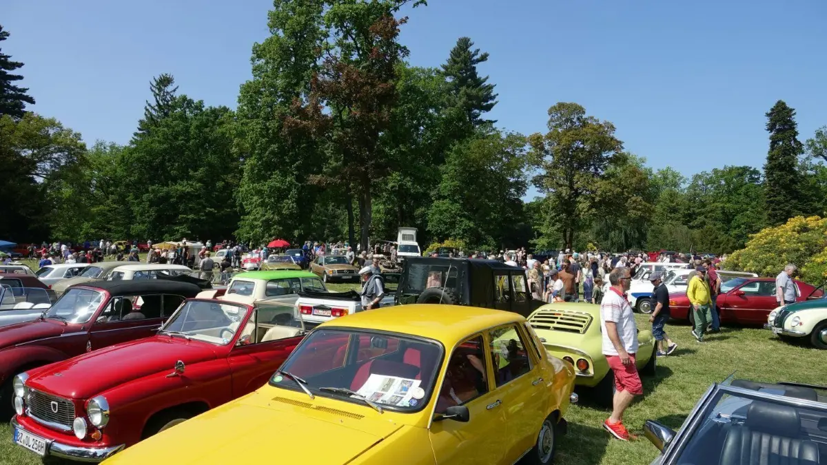 Beim 57. Park- und Blütenfest in Kromlau: Oldtimer so weit das Auge reicht. Die ältesten Fahrzeuge stammen aus den Jahren 1928 und 1932.
Beim 57. Park- und Blütenfest in Kromlau: Oldtimer so weit das Auge reicht. Die ältesten stammten aus den Jahren 1928 und 1932.