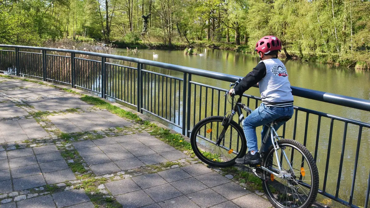 Der Teich im Stadtpark Guben wird renaturiert. Dafür stehen jetzt Fördermittel bereit.