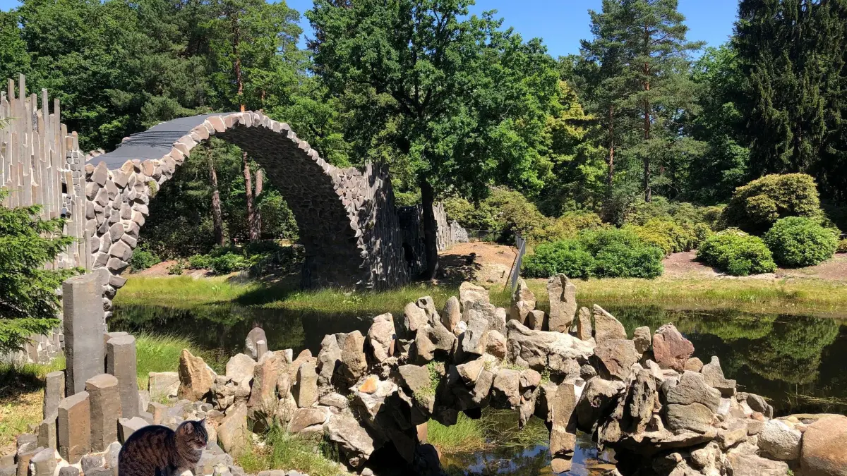 Katze an der Rakotzbrücke in Kromlau