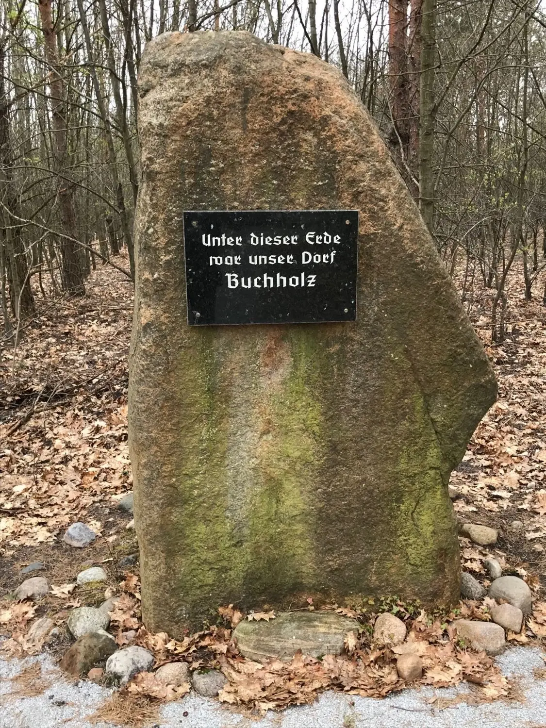 Einst komplett zugewachsen und jetzt freigeschnitten - der Gedenkstein für das 1964 devastierte Dorf Buchholz.