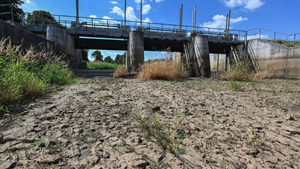 Teilabschnitte der Schwarzen Elster liegen im Hochsommer trocken, weil das wenige ankommende Flusswasser zuvor in den Senftenberger See geleitet werden muss. Die umliegende Lausitzer Seenkette ist nicht als Speichersystem ausgelegt, um das verhindern zu können.
ARCHIV - Ausgetrocknet ist ein Teilabschnitt des Flusses Schwarze Elster in Südbrandenburg. Foto: Patrick Pleul/dpa