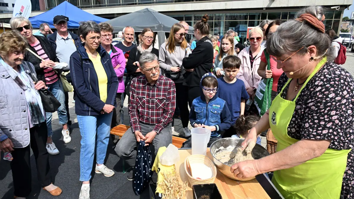 Handwerkerralley Berliner Platz: Handwerker-Rallye und Brotfest vor der Stadthalle
Voller Körpereinsatz war bei den Backkursen mit der Bio-Bäckerei Schmidt am Sonnabend auf dem Berliner Platz gefragt. Innungsobermeisterin Diana Lewandowski zeigte beim Schaubacken den Besucherinnen und Besuchern während in des "1. Brotfestes" auf dem Stadthallenvorplatz, wie aus den Zutaten Mehl, Wasser und Salz ein schmackhaftes Sauerteigbrot, das drei Wochen lang haltbar sein kann, entsteht. Darüber hinaus demonstrierten die Innungsbäcker mit ihren Schaubroten die Vielfalt und Kreativität ihres Handwerkes. Die Besucher hatten die Möglichkeit per Tippschein ihren Favoriten auszuwählen.
Handwerkliches Geschick, spannende Duelle und Unterhaltung für Groß und Klein gab es auch bei der Handwerker-Rallye, zu der die Handwerkskammer Cottbus und die Kreishandwerkerschaft Cottbus/Spree-Neiße eingeladen hatten. Bei zahlreichen Aktionen unterschiedlichster Handwerksgewerke konnten sich Kinder, Jugendliche und Erwachsene ausprobieren und ihr handwerkliches Talent unter Beweis stellen.
Wer schon immer mal seine Fähigkeiten beim Mauern, Schmieden oder dem Schlagen von Zimmermannsnägeln und Schieferherzen testen wollte, war auf dem Cottbuser Stadthallenvorplatz genau richtig. Der Parcours entlang der einzelnen Stationen forderten einige Geschicklichkeit von den Besuchern. Gleichzeitig boten die Handwerksinnungen der Steinmetze, Metallbauer, Dachdecker, Bäcker und Maurer spannende Einblicke in ihr jeweiliges Gewerk.
In der Mitmachwerkstatt des CoLab der BTU Cottbus-Senftenberg erlebten Besucher, wie Gravuren mit dem Lasercutter entstehen oder Ersatzteile mit modernster Technik gefertigt werden. Am Stand des Lehrbauhofes Großräschen zeigten der angehende Zimmerer Joe Devin Kaßner, wie traditionelle Holzbearbeitung mit Seilhieben funktioniert. Die so entstehenden Zierelemente finden sich häufig bei Fachwerkhäusern. Im Automobilbereich konnten Besucher gemeinsam mit den Experten auf Fehlersuche gehen. Die Ausbildung