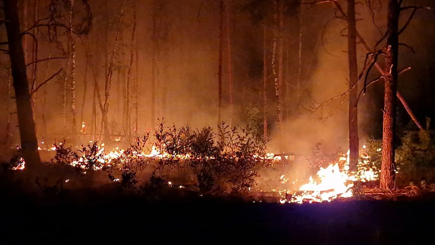 Trotz der derzeit verbreiteten Nässe könnte es in der Lausitz wieder größere Waldbrände geben. In den vergangenen Jahren haben sich die großen Brandkatastrophen jedoch in anderen Teilen Sachsens zugetragen, beispielsweise in der Gohrischheide oder in der Sächsischen Schweiz.
