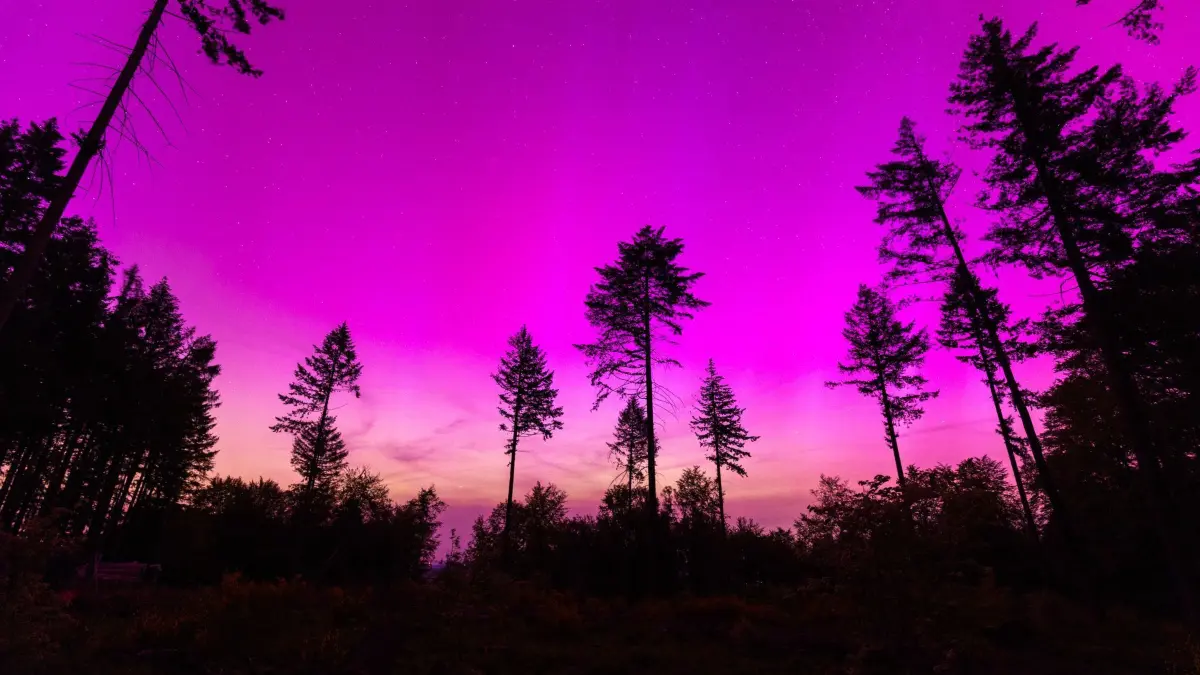Polarlichter über Hessen: 11.05.2024, Hessen, Nahe Treisberg: Polarlichter erscheinen am nächtlichen Himmel über dem Pferdskopf bei Treisberg im hessischen Hochtaunuskreis. Foto: Lando Hass/dpa +++ dpa-Bildfunk +++